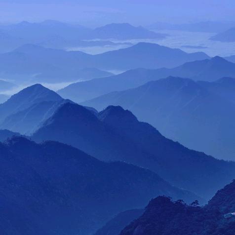 🏸️我鑫依然🏸️