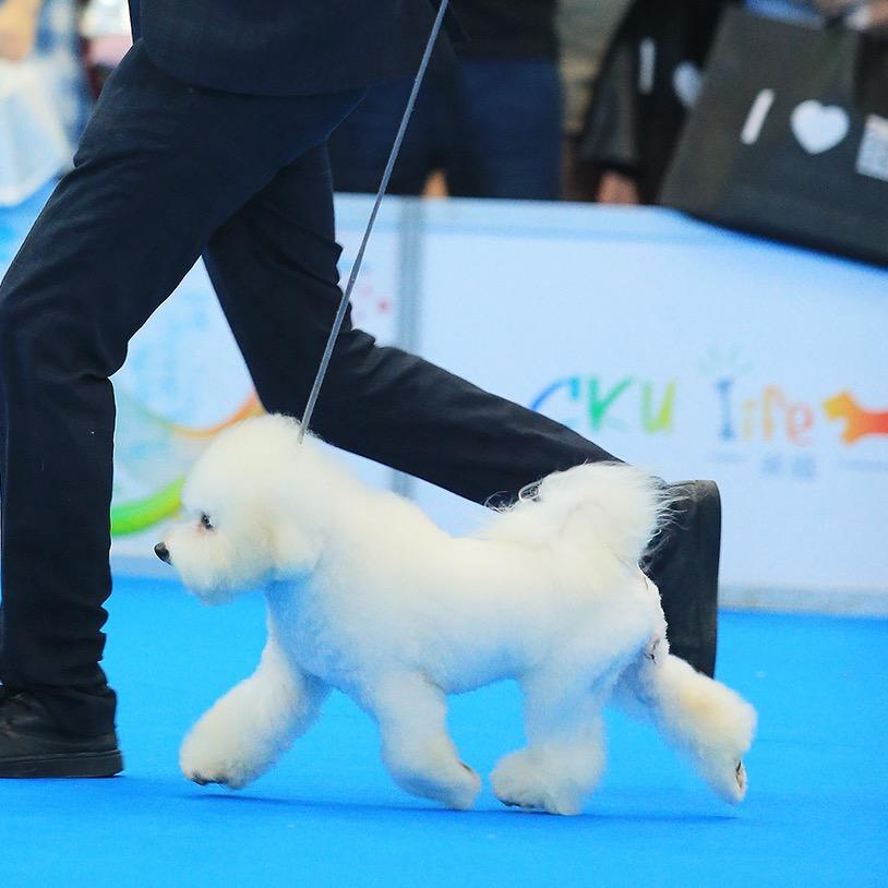 “煎饼侠”胜胜