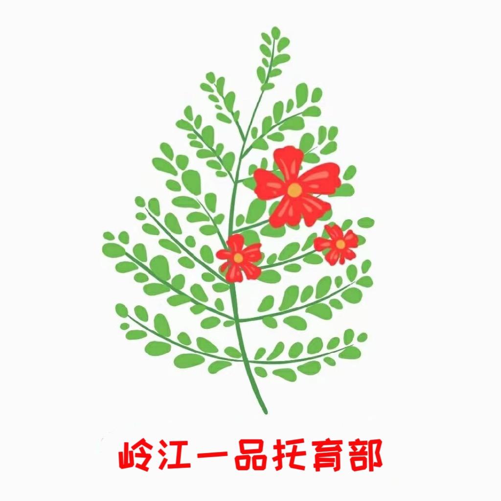 岭江一品幼儿园陈陈老师