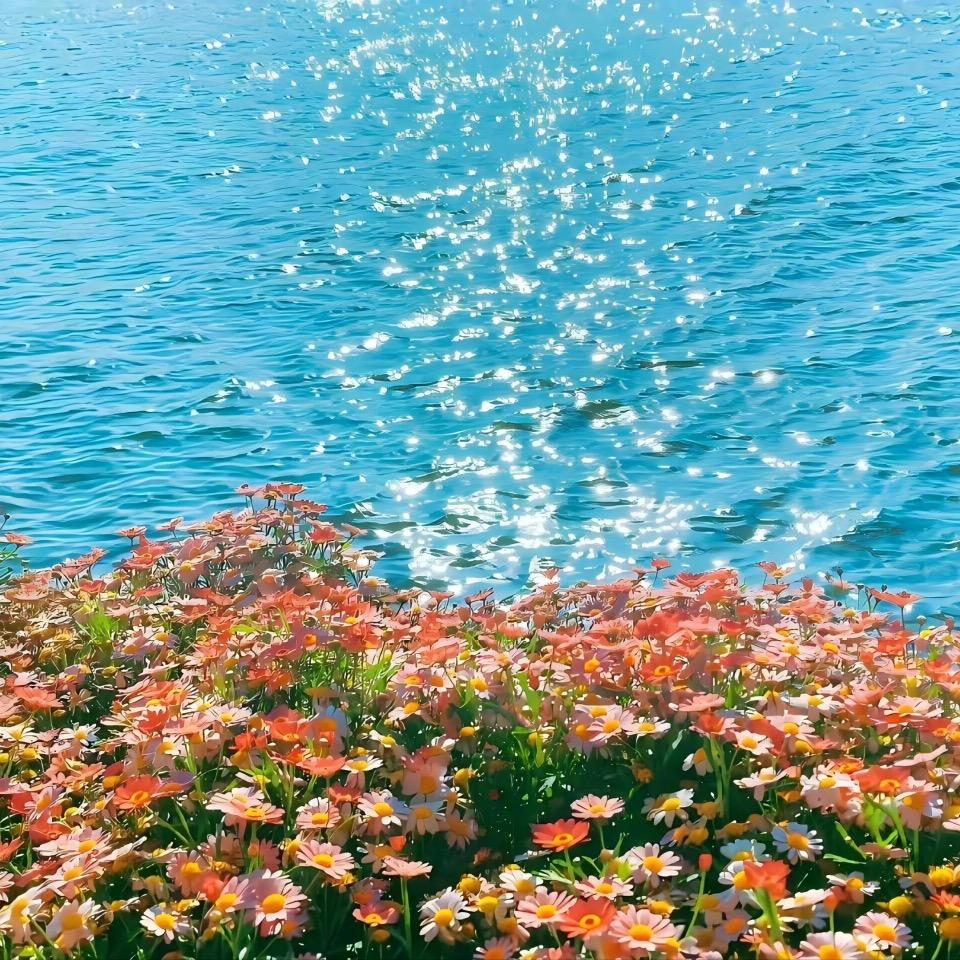 吉星电器彩白宠粉号