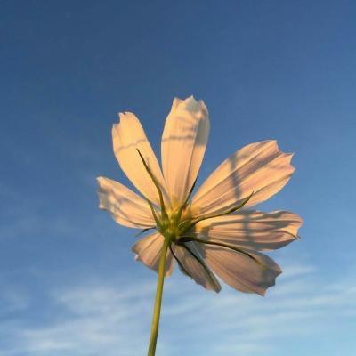 幸福美满111