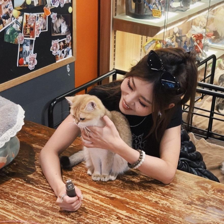 小猫崽子儿(狂更版)