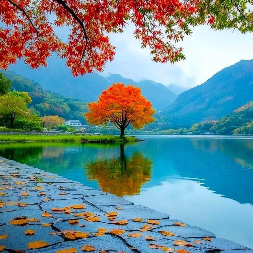 🌸🌷🌺🪷幸福(^O^)平安喜乐