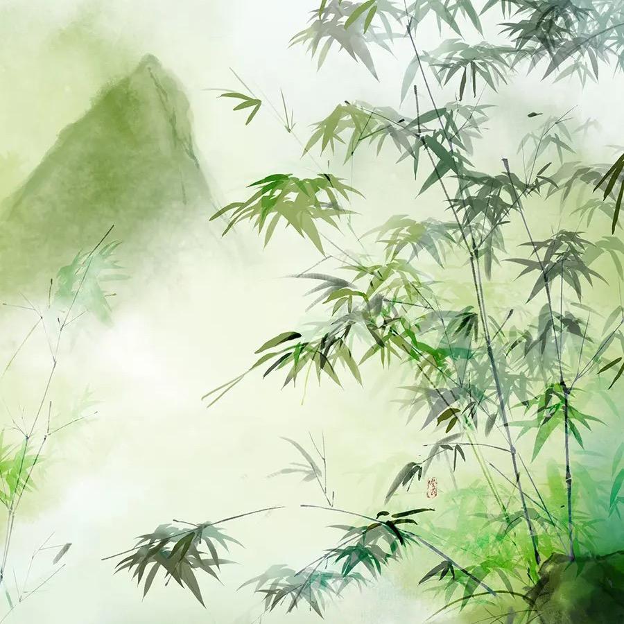 考拉555头像