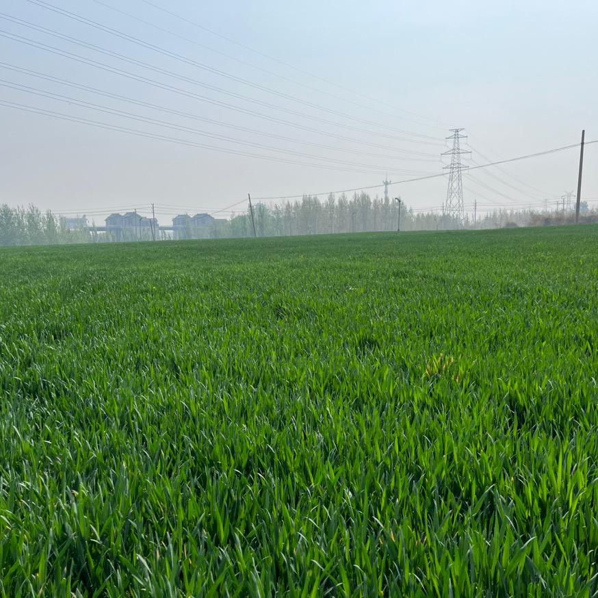 白沙农产品优品橱窗