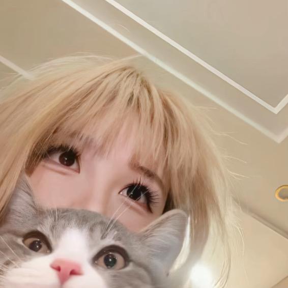 想找个贤妻