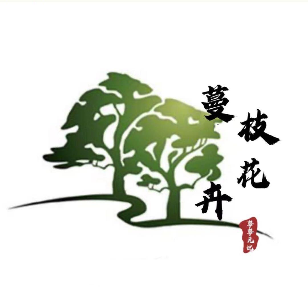 蔓枝盆景供应链
