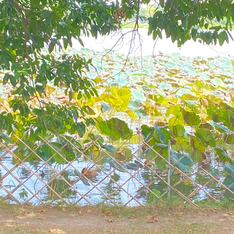 上善若水垢除不掉