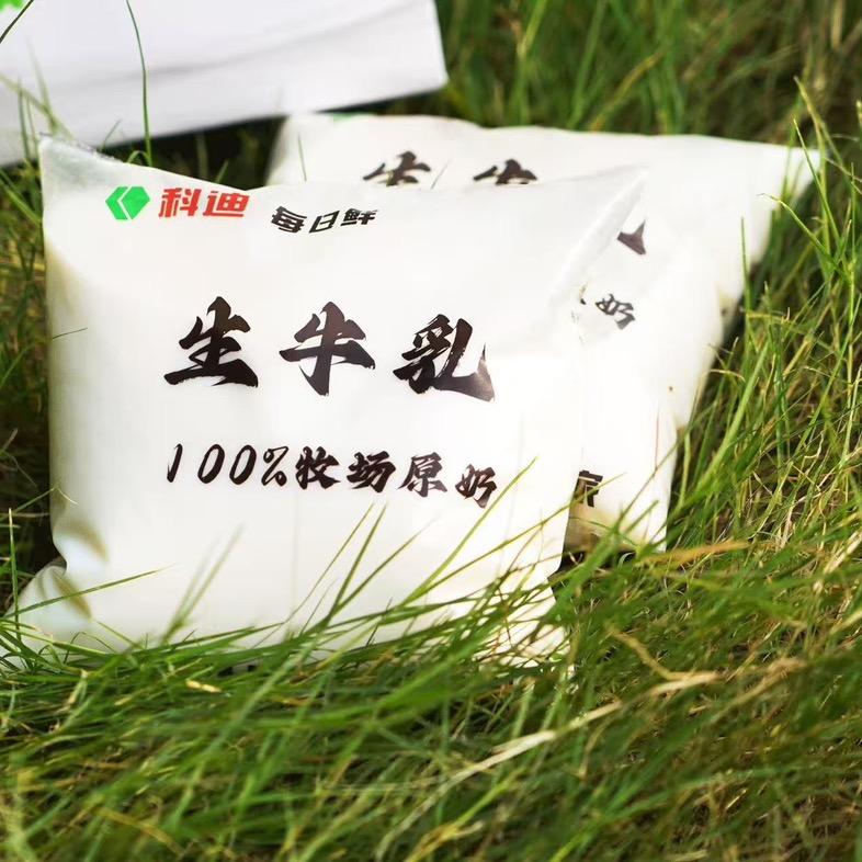 科迪每日鲜小助理 飞飞