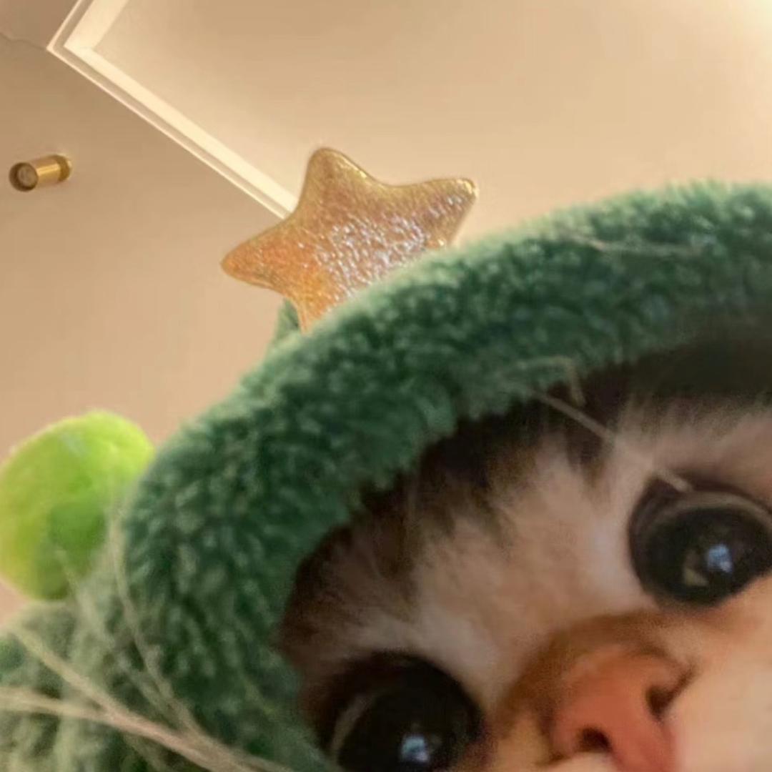 qqqqq