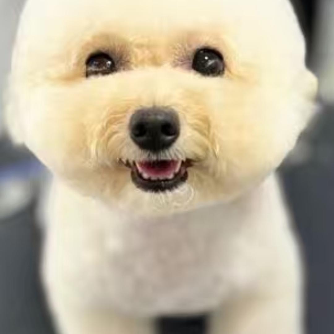 是宝宝诶