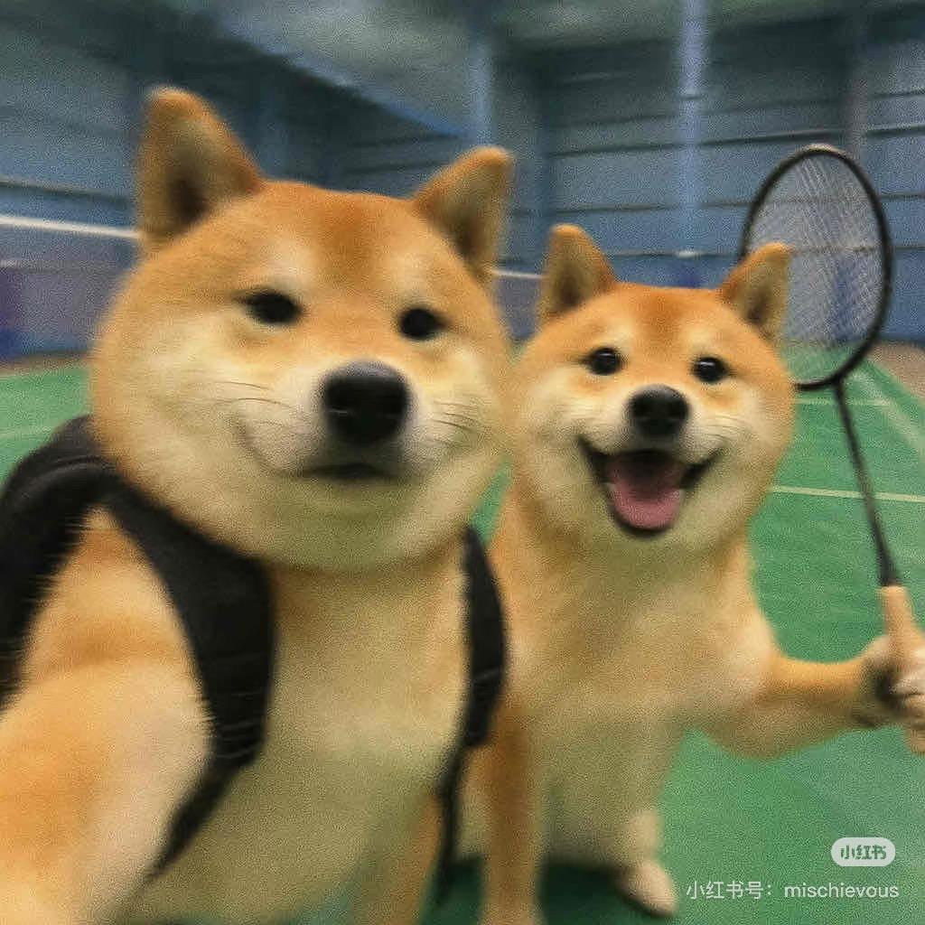 羽宙世界