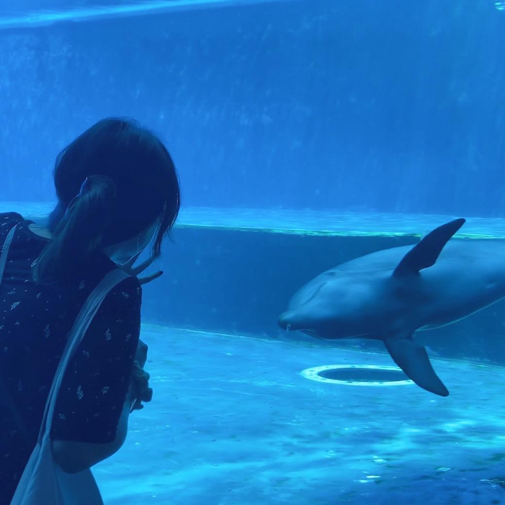 特雷傻在意大利