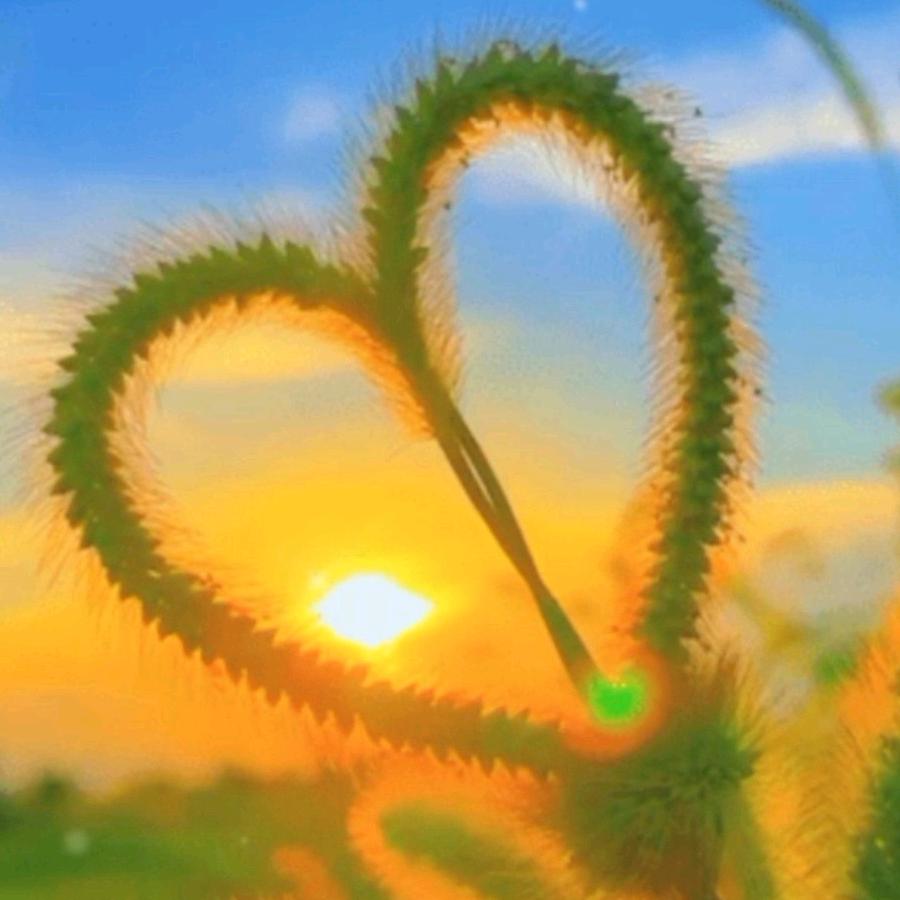 懂得珍惜，才佩拥有