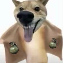 cococo