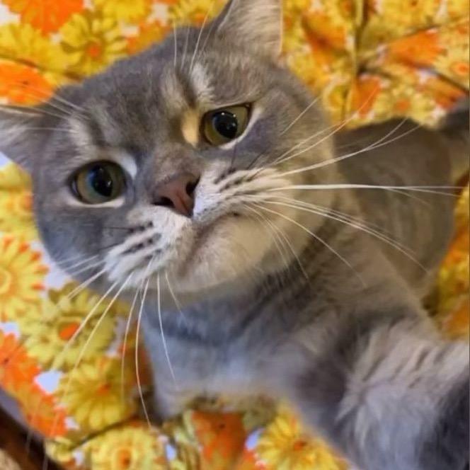 品牌折扣补贝占