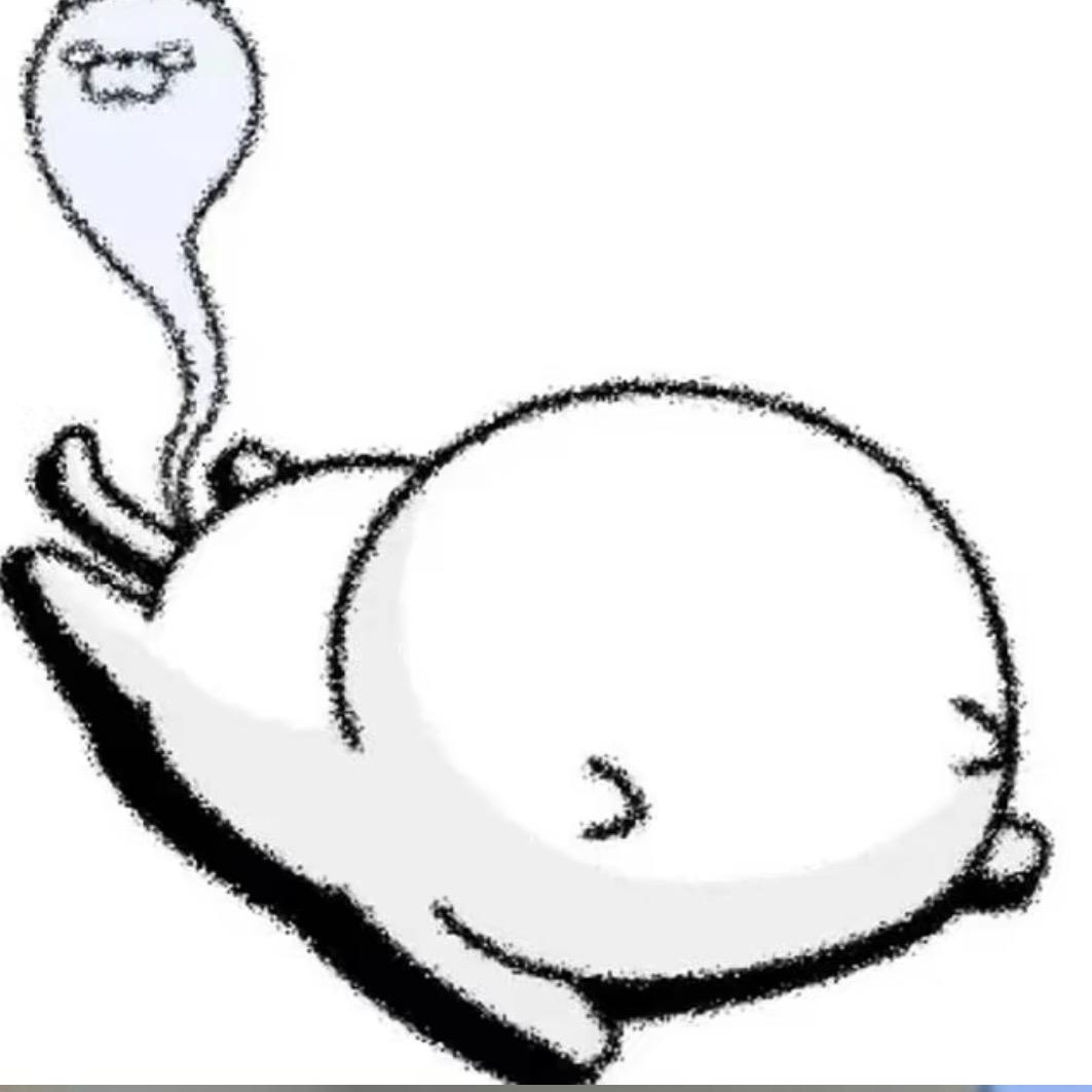 虾米