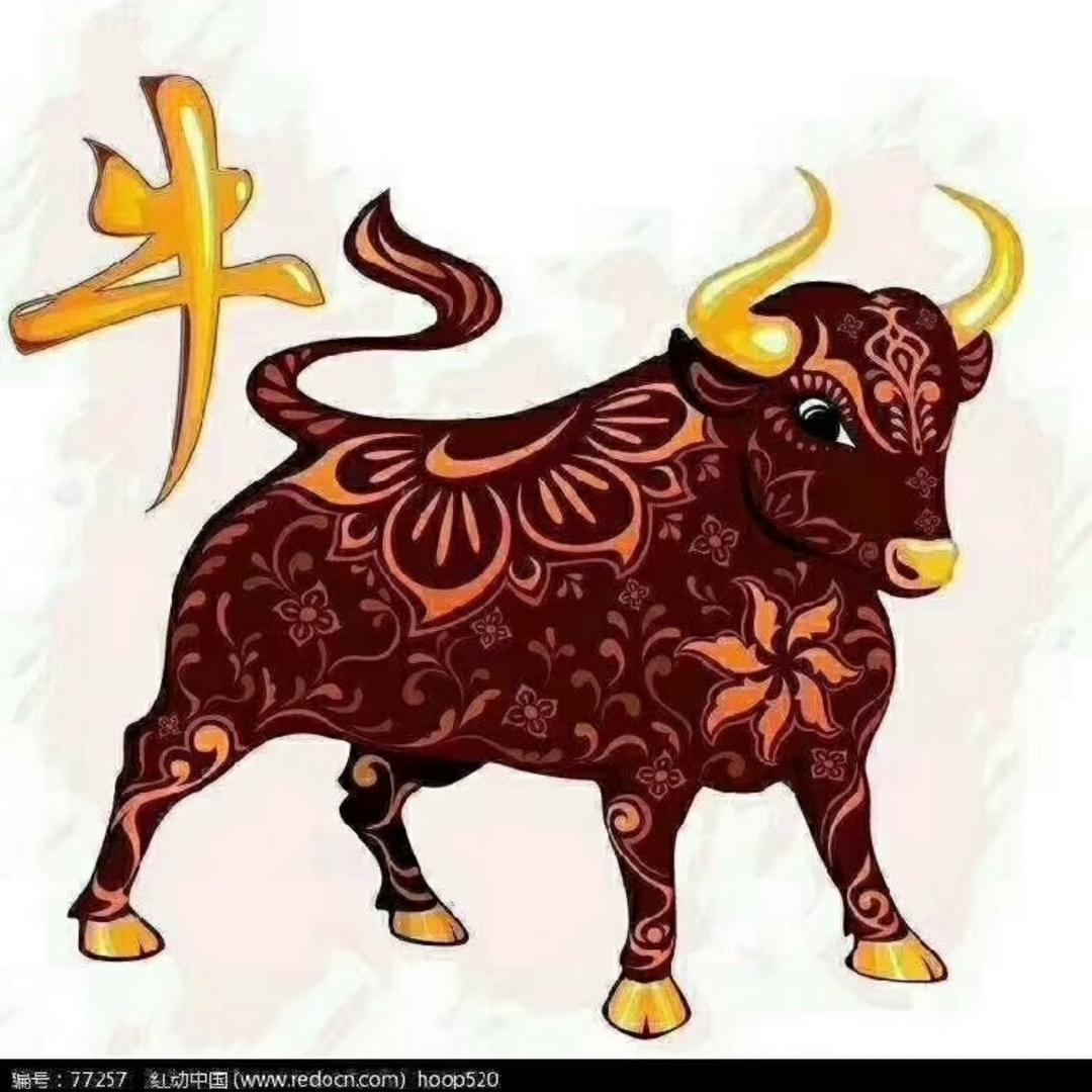 Y L