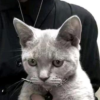 守住⒈份执着°