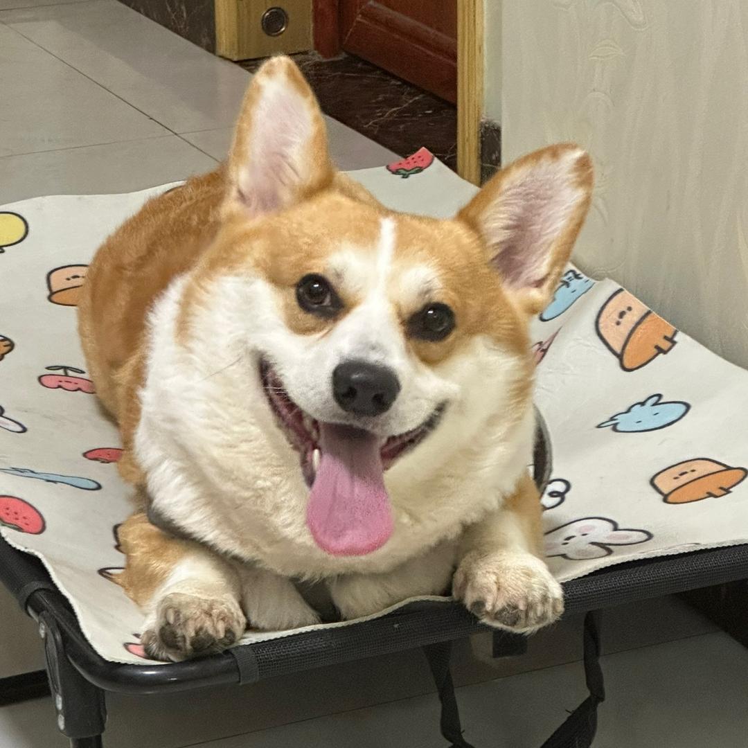 六一憨憨