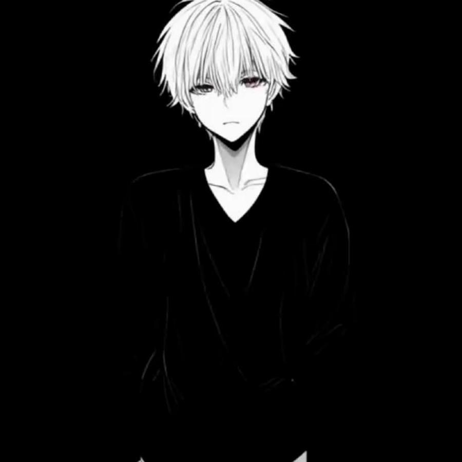紫燕