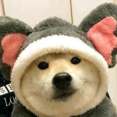 她成为了别人的月亮