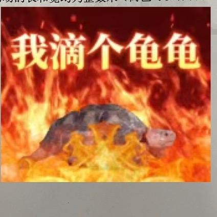 被子横盖选手