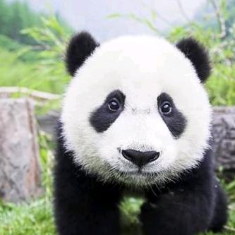 永远没有：感同身受