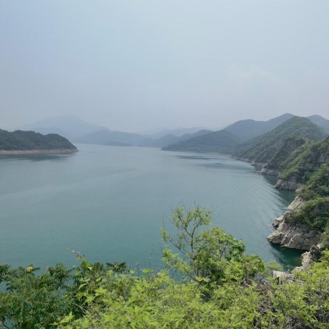 Zhou .