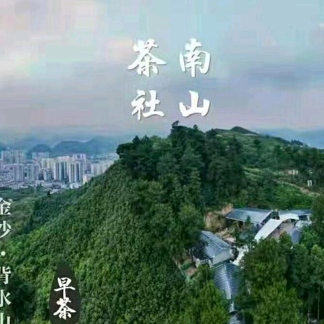 金沙背水山南山茶舍