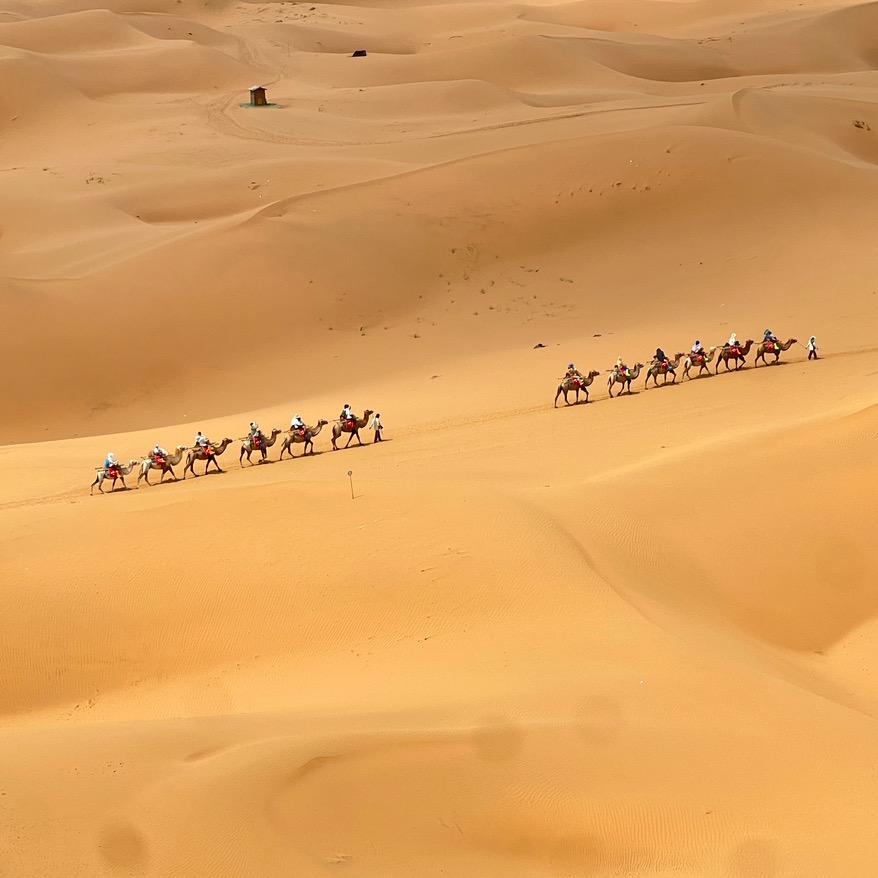 小家变形计🏠（硬装中）