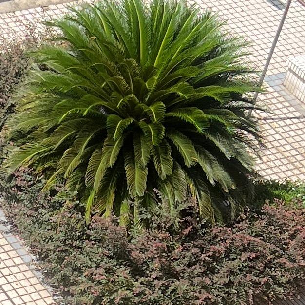 轻奢风女装小店