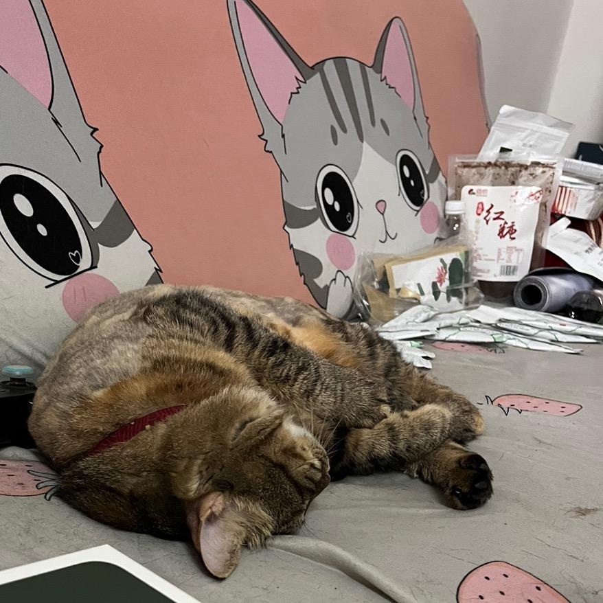 小呱原创