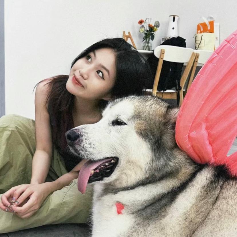 V博（观沙岭）90号好好