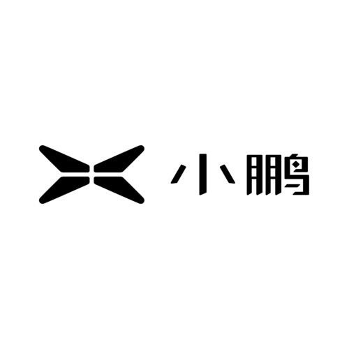 小鹏汽车｜乌鲁木齐友好汽车城店