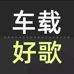 调音师小萍萍(车载U盘)