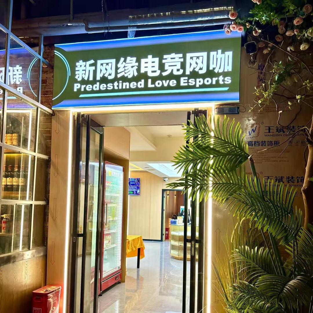 新网缘电竞网咖专用号