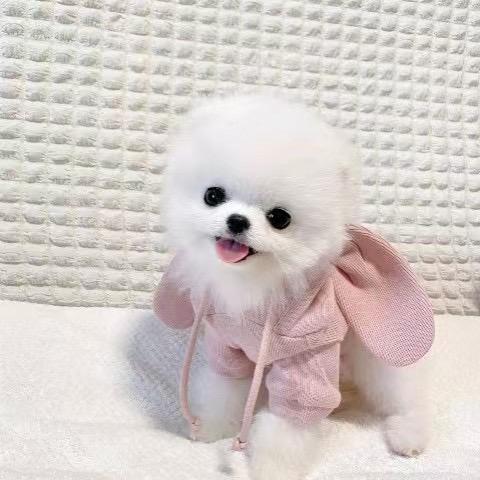 .晓彤.