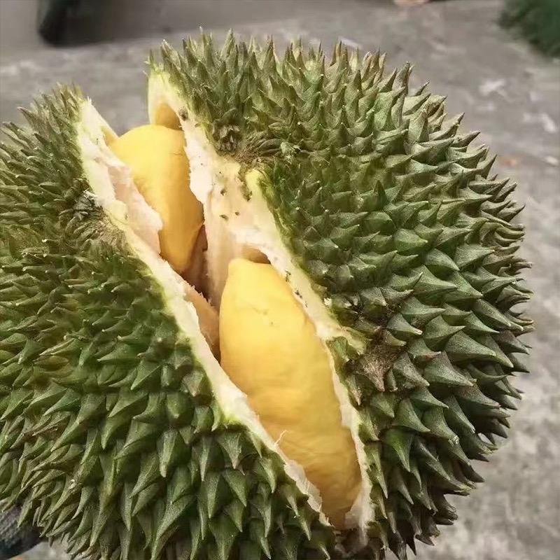 小晴子榴莲车厘子小时达