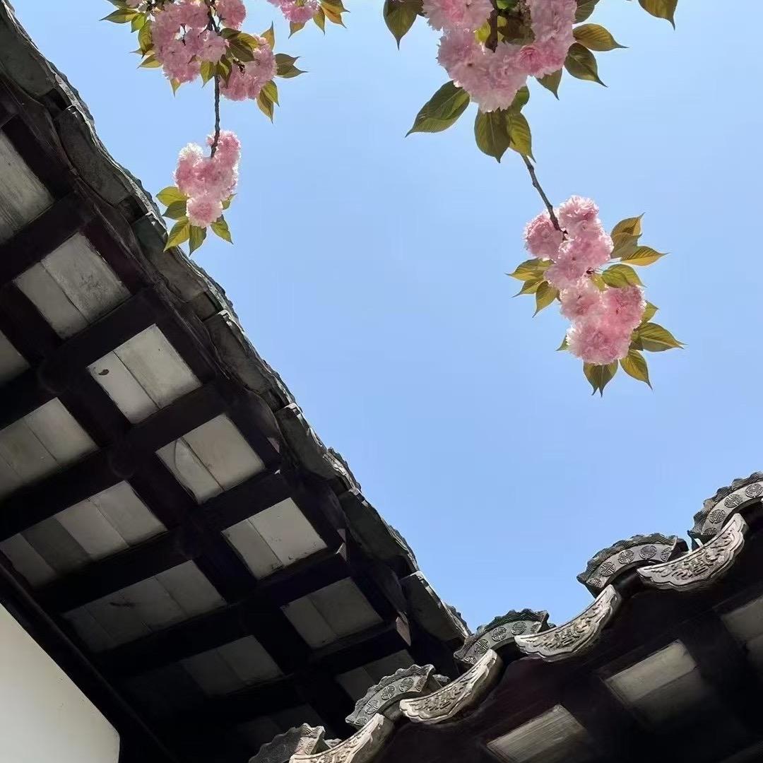 大美无烟
