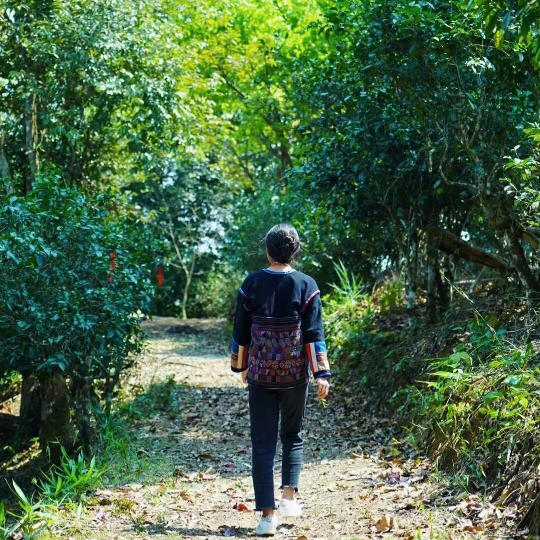 拔玛公主🍃