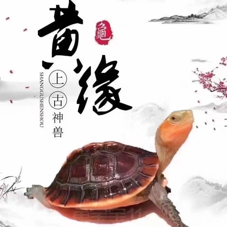 东城缘之园