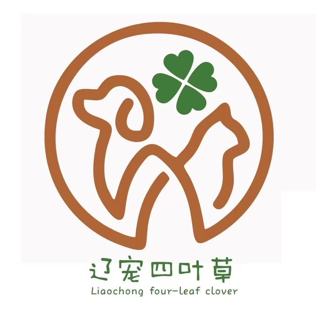 辽宠约克夏之家（海哥）