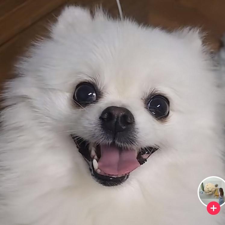 好好学习天天向上