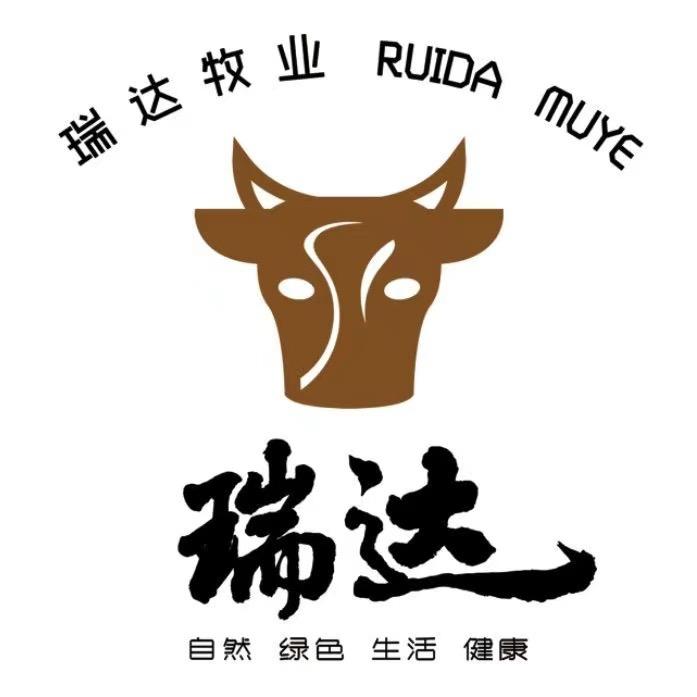凤城老尹牛肉