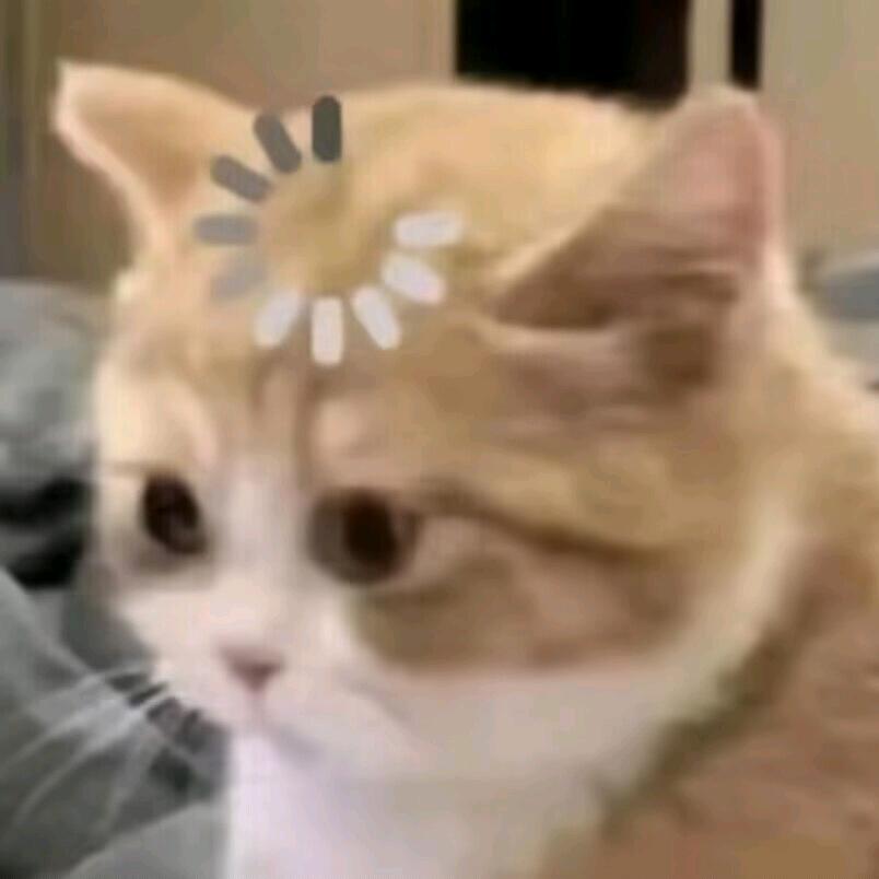 就是不睡觉