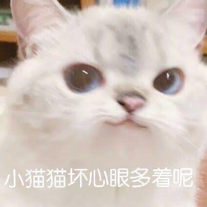三小小