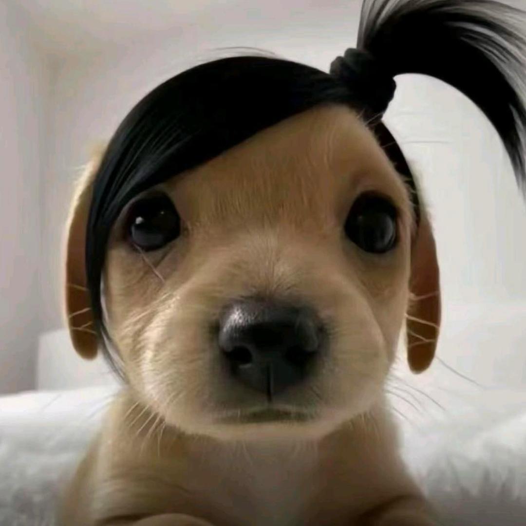 羊脂