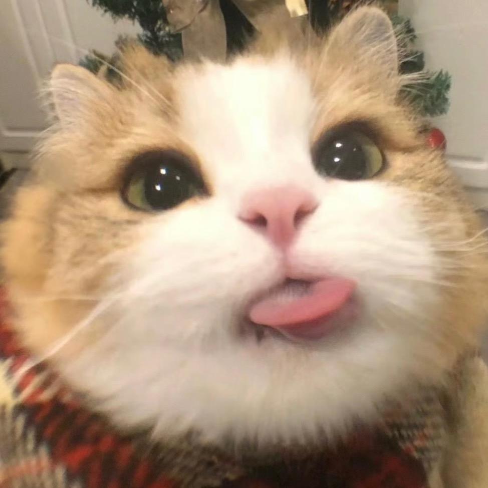 李南亿