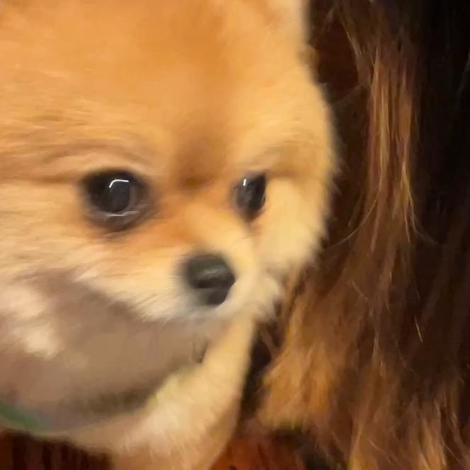 直播播